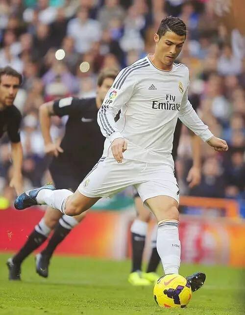 这句话不仅 这句话不仅