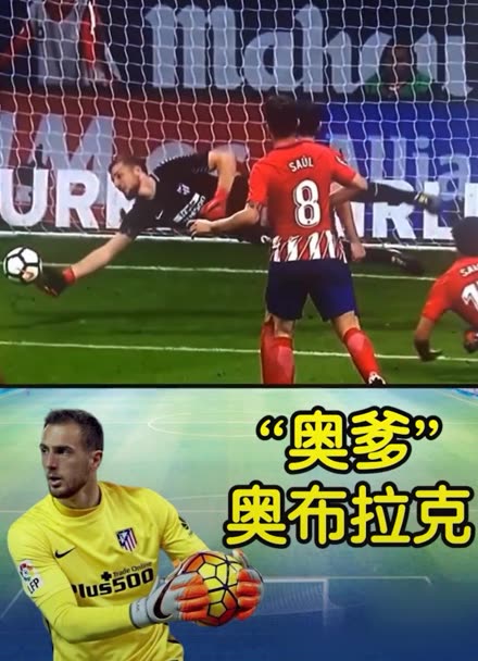 他们仍有机 他们仍有机